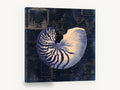 Nautilus on Indigo Chart, vintage nautilus shell sea map, stretched canvas wall art print ready to hang