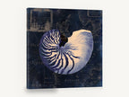 Nautilus on Indigo Chart, vintage nautilus shell sea map, stretched canvas wall art print ready to hang