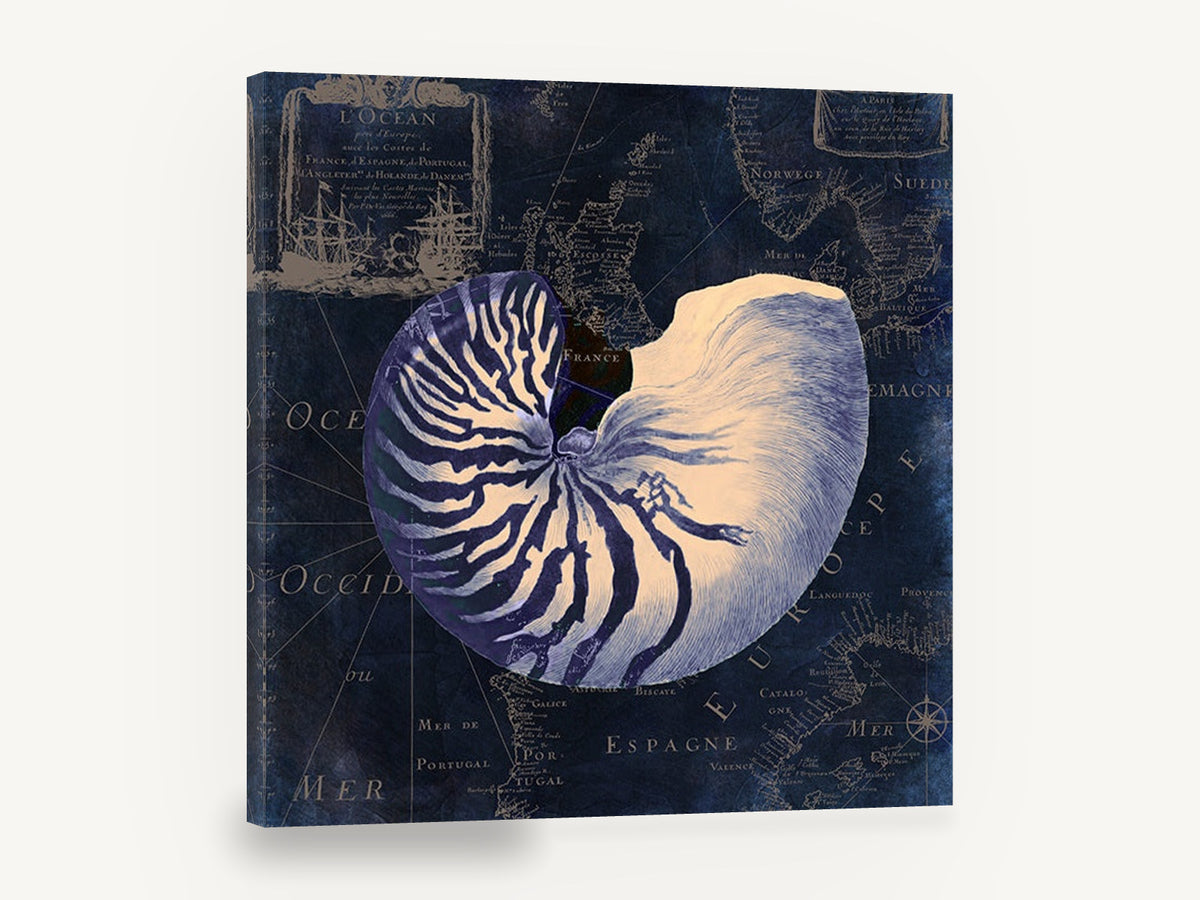 Nautilus on Indigo Chart, vintage nautilus shell sea map, stretched canvas wall art print ready to hang