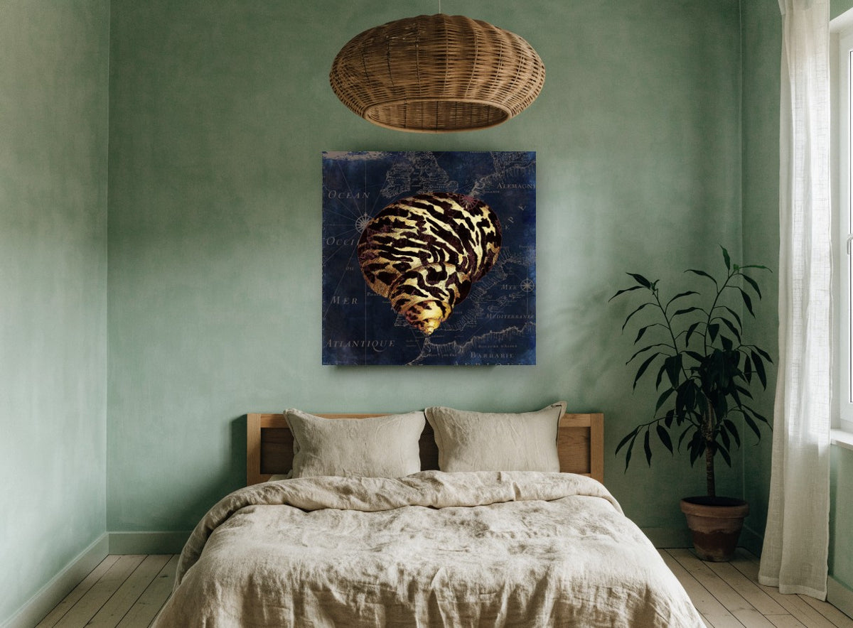 Tiger Shell Atlantic Chart vintage canvas print on the wall of a bedroom