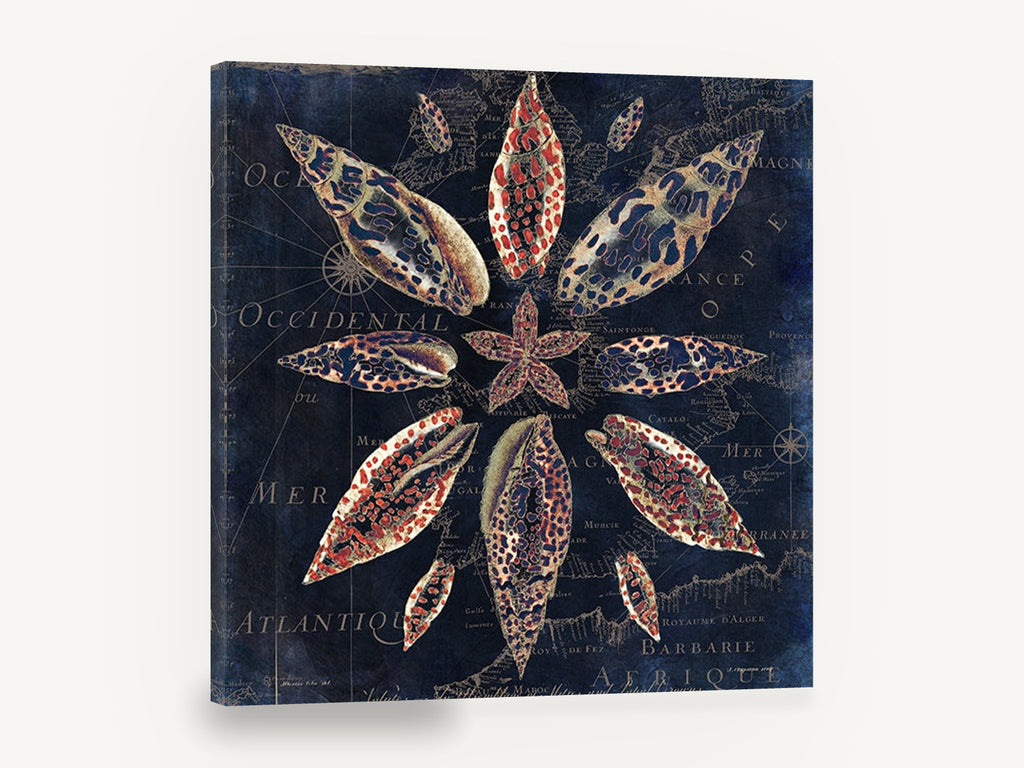 Shell Star on Navy Chart, vintage seashell mandala sea chart, stretched canvas wall art print ready to hang