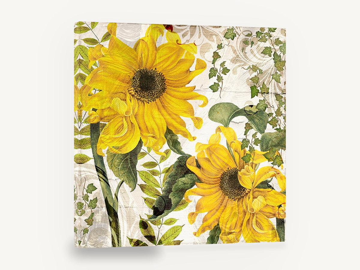 Sunflowers on Cracked Cream, yellow sunflowers ivy floral, floral canvas wall art print ready to hang