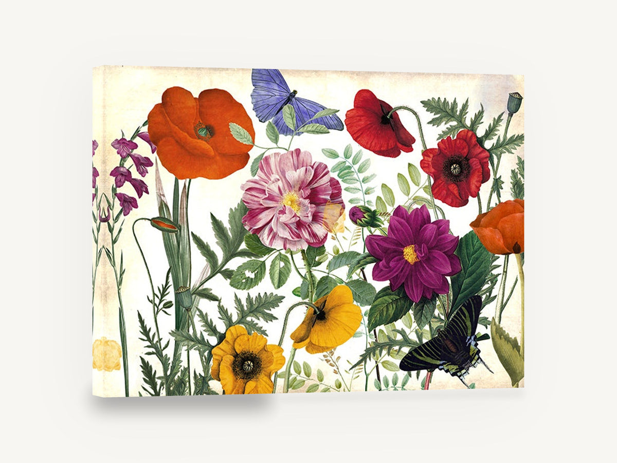 Poppies and Butterflies Meadow, poppies dahlia butterflies botanical illustration, floral canvas wall art print ready to hang