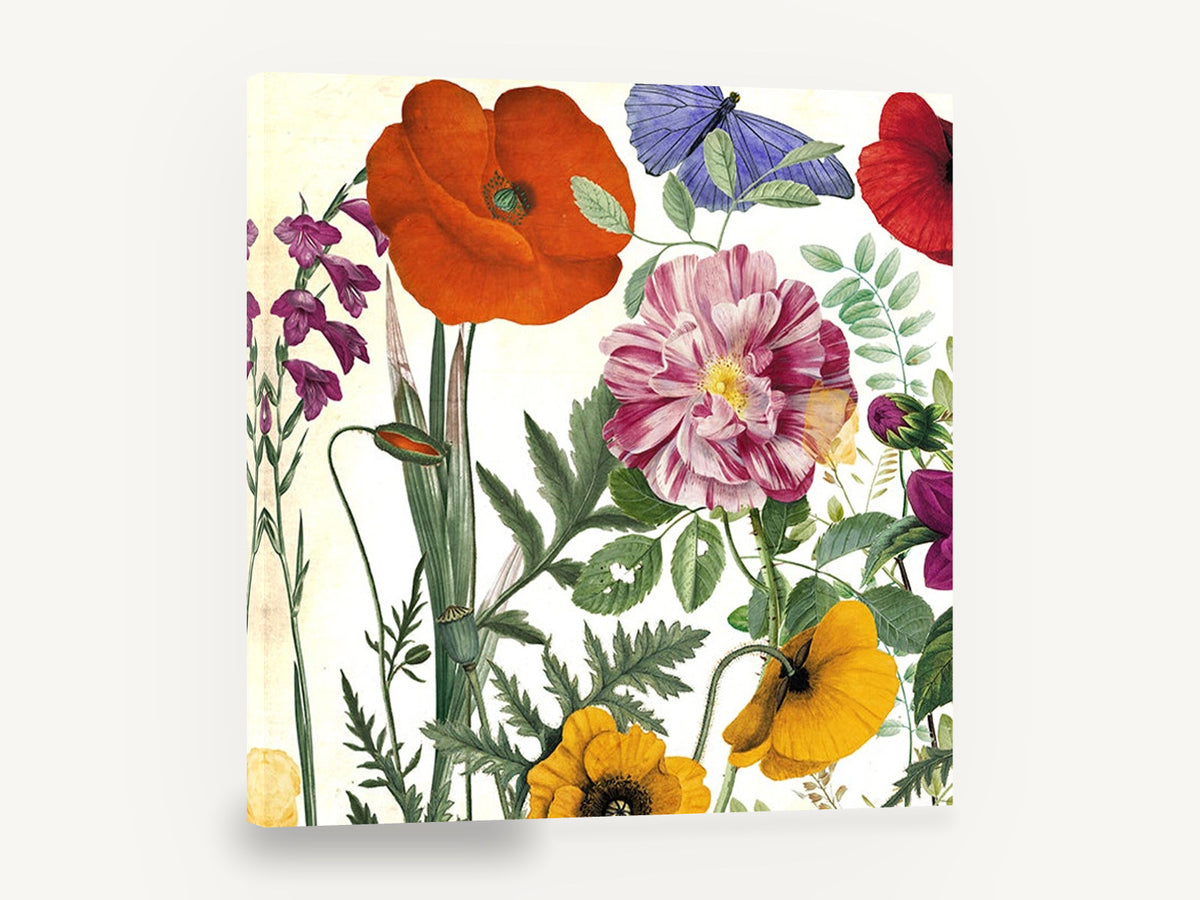 Spring Poppy Collage, poppies rose butterfly botanical illustration, floral canvas wall art print ready to hang