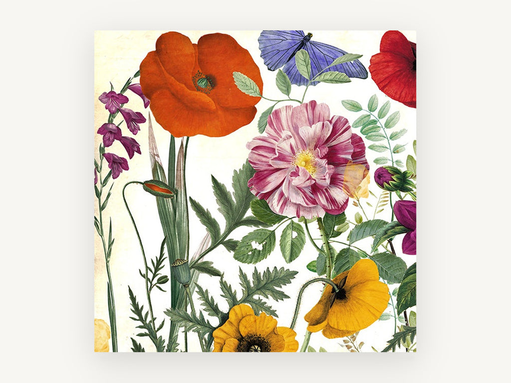Spring Poppy Collage, floral canvas wall art print, front view