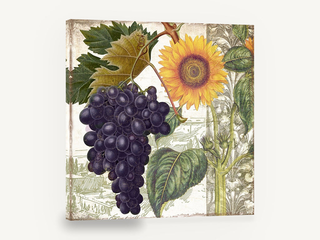 Sunflower and Grape Harvest, sunflower and purple grapes botanical collage, floral canvas wall art print ready to hang