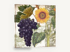 Sunflower and Grape Harvest, sunflower and purple grapes botanical collage, floral canvas wall art print ready to hang