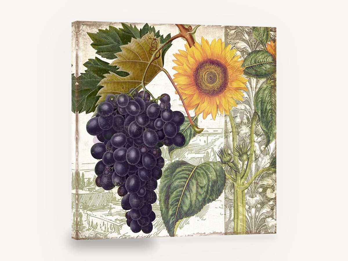 Sunflower and Grape Harvest, sunflower and purple grapes botanical collage, floral canvas wall art print ready to hang