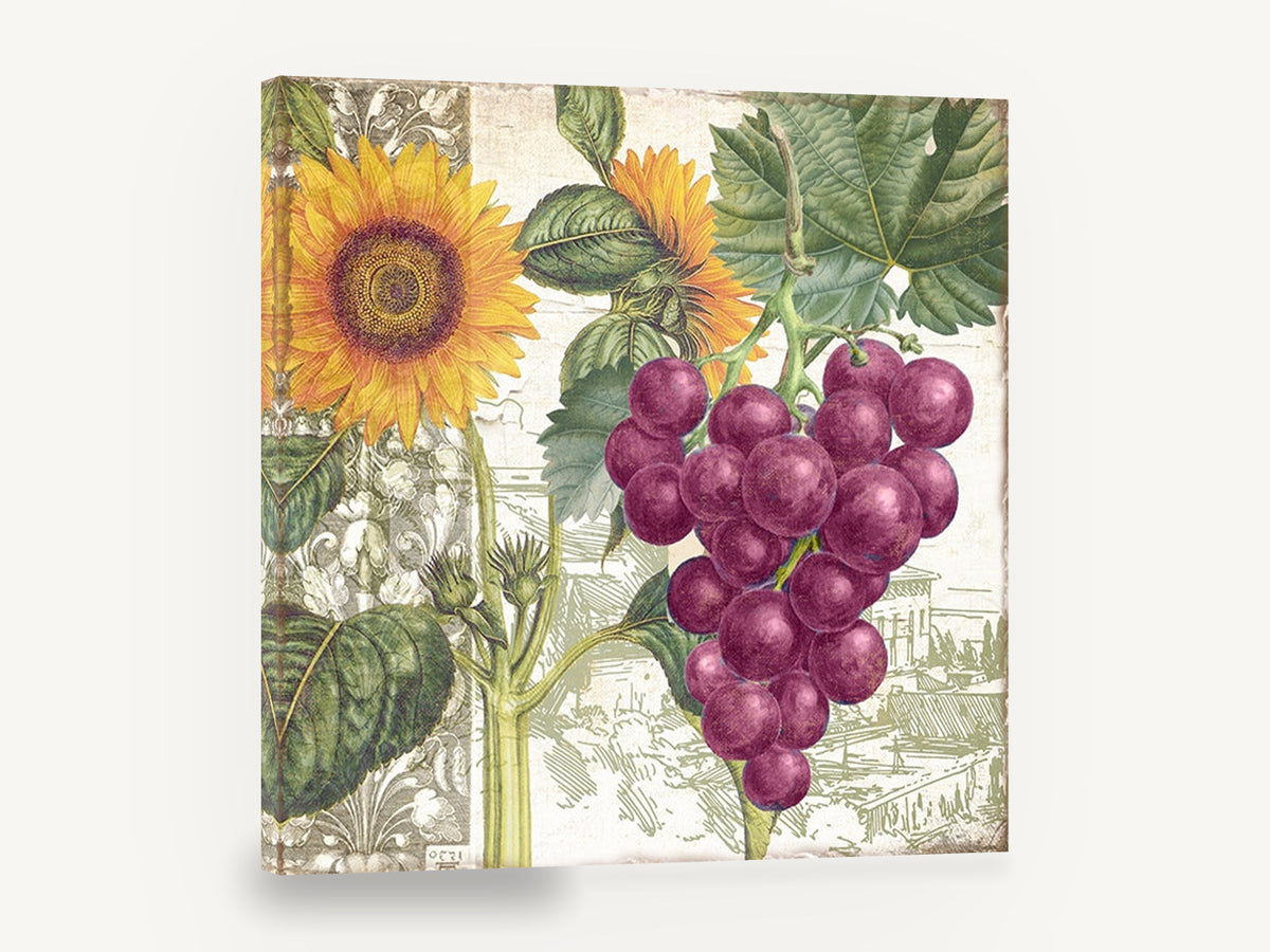 Sunflower and Grape Harvest, sunflower and purple grapes botanical collage, floral canvas wall art print ready to hang