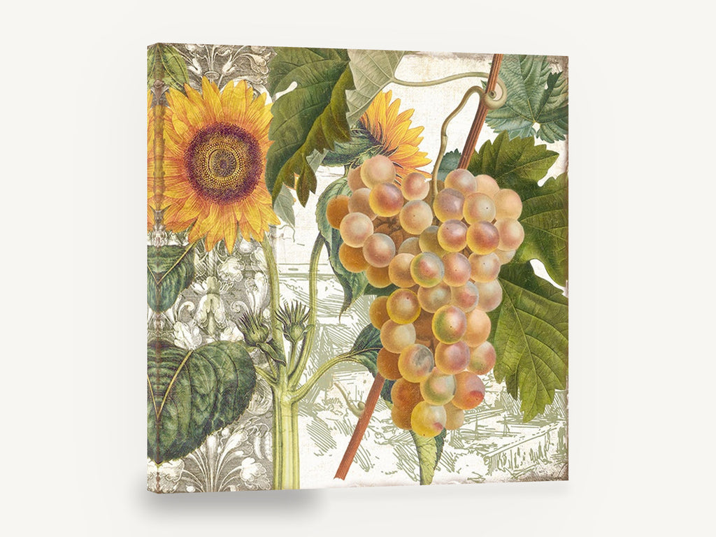 Sunflower and Grape Harvest, sunflower and grape cluster botanical collage, floral canvas wall art print ready to hang