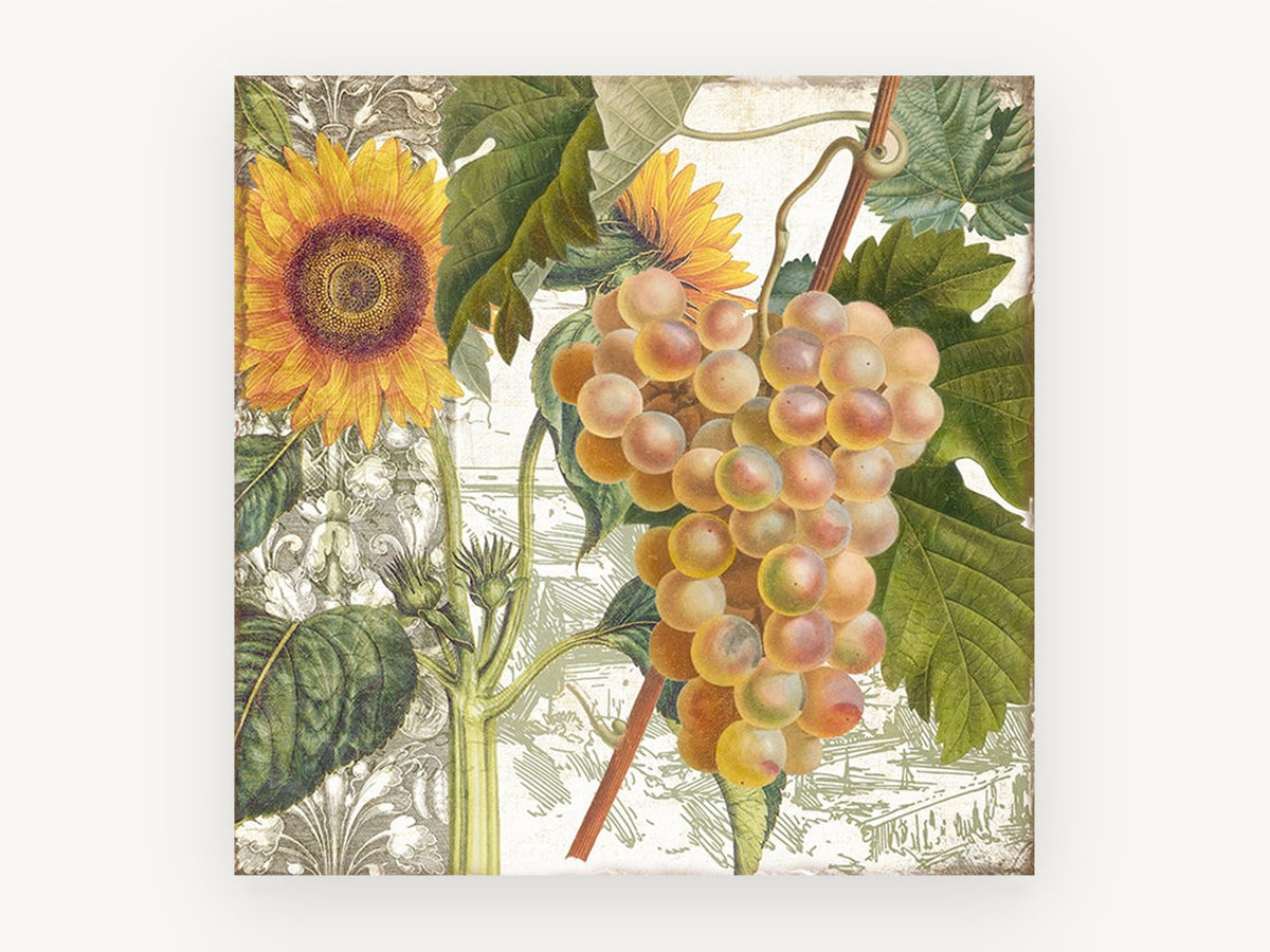 Sunflower and Grape Harvest, floral canvas wall art print, front view