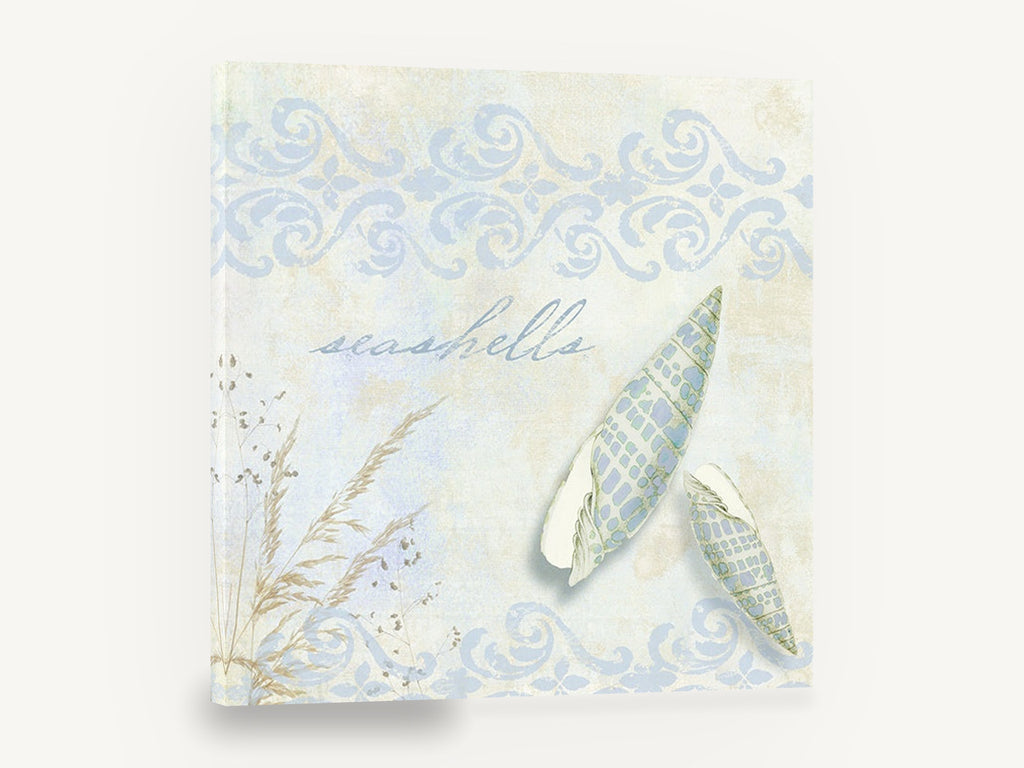 Pale Spindle Shells, blue seashells vintage coastal, coastal canvas wall art print ready to hang