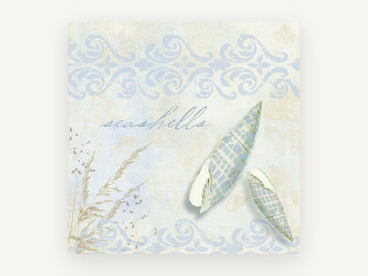 Pale Spindle Shells, coastal canvas wall art print, front view