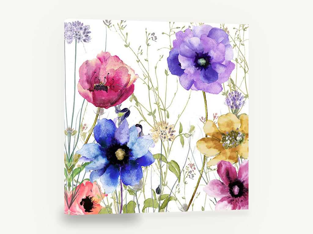 Meadow Anemone Garden, colourful anemone poppy watercolour floral, floral canvas wall art print ready to hang