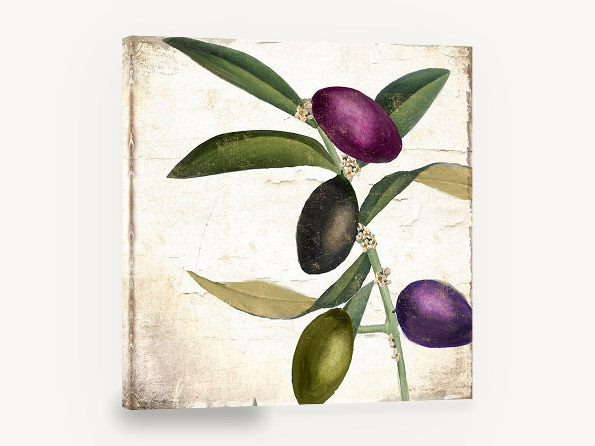 Plum and Olive Sprig, olive branch botanical illustration, floral canvas wall art print ready to hang