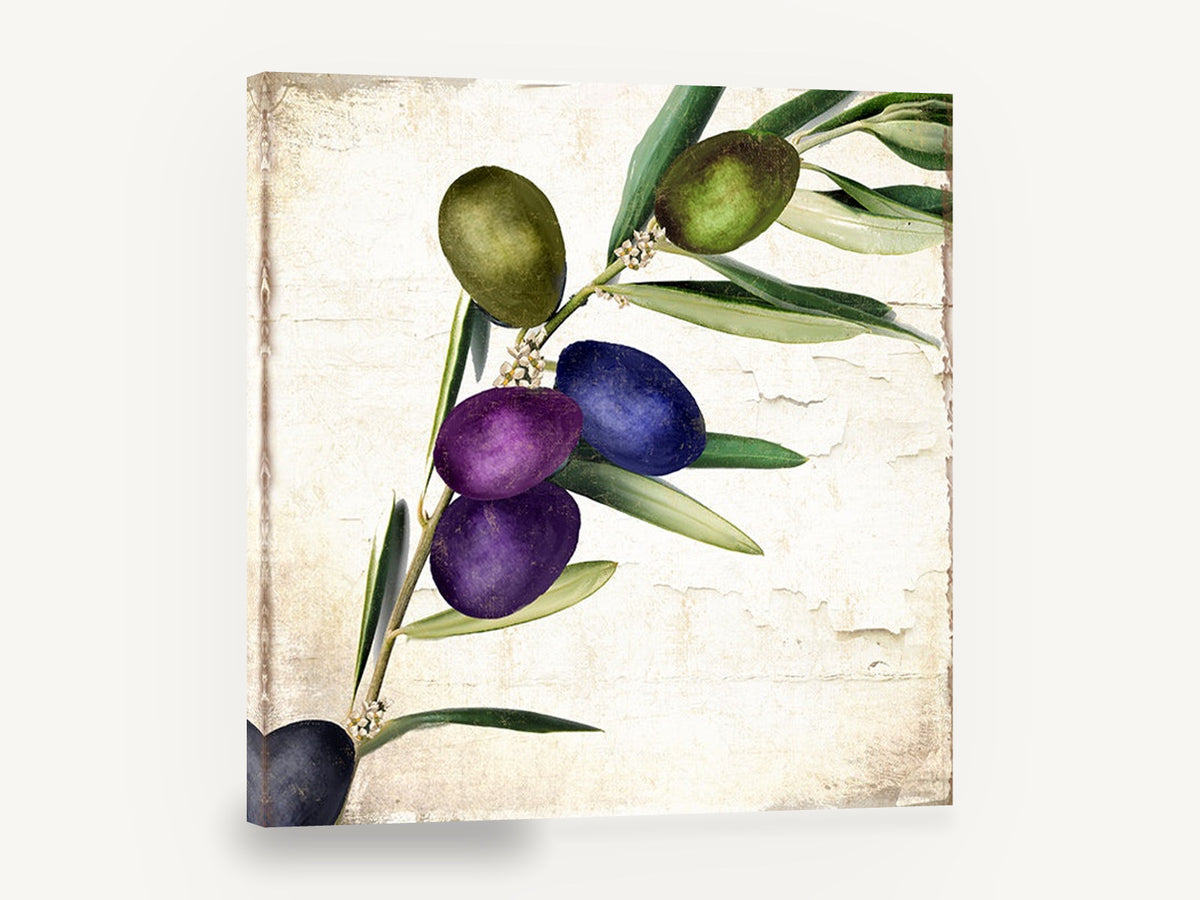 Purple Olive Sprig, olive branch botanical still life, floral canvas wall art print ready to hang
