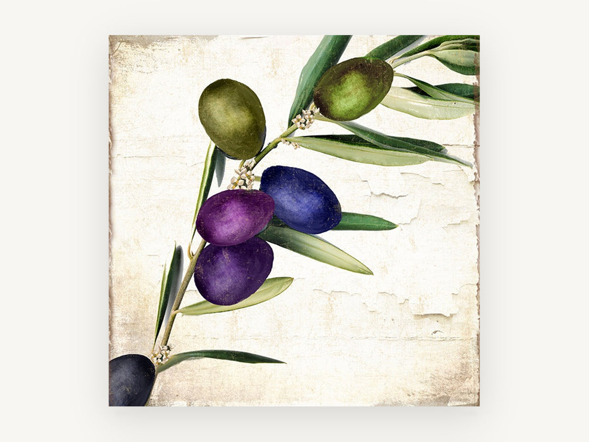 Purple Olive Sprig, floral canvas wall art print, front view
