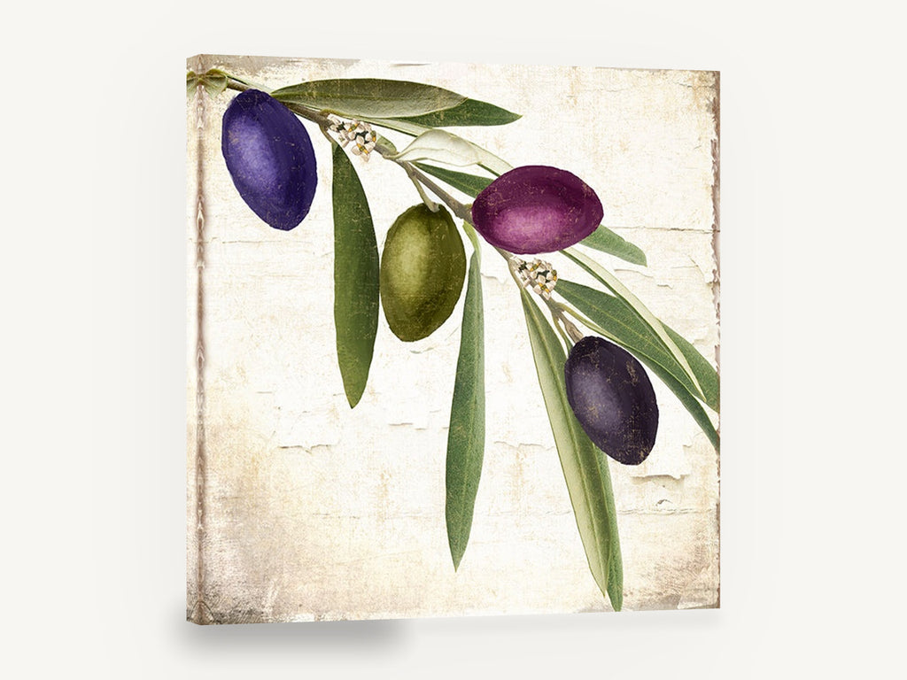 Olive Branch Trio, olive branch botanical illustration purple green, floral canvas wall art print ready to hang