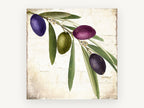 Olive Branch Trio, floral canvas wall art print, front view
