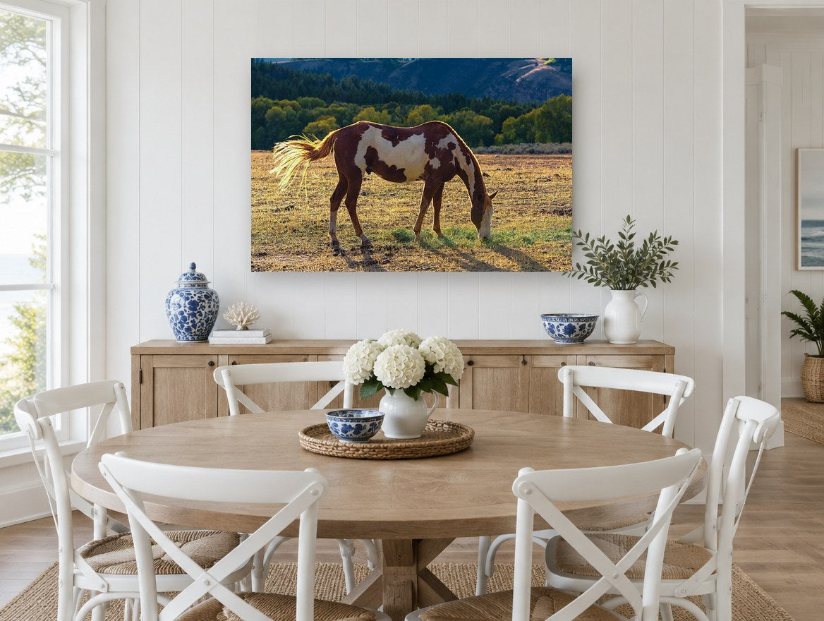 Grazing Paint Horse animal canvas print on the wall of a Hamptons dining room