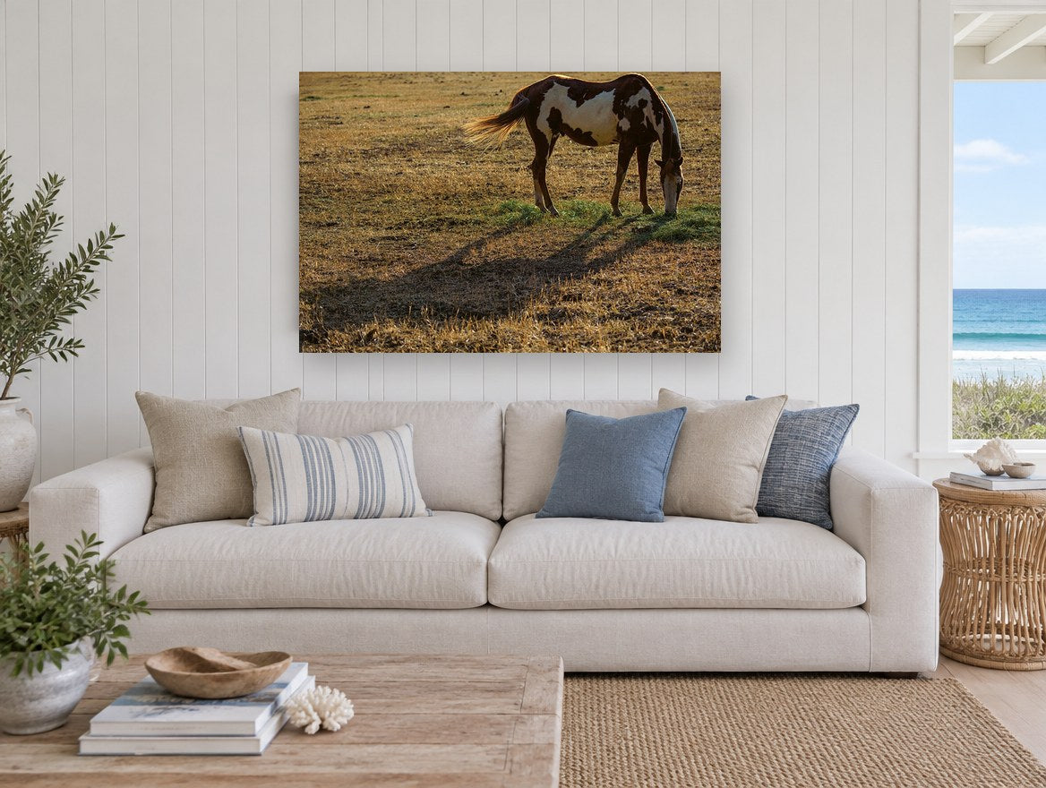 Grazing Paint Horse animal canvas print on the wall of a beach house living room
