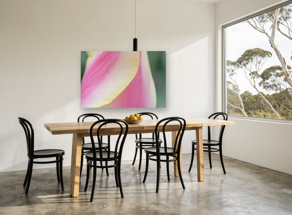 Tulip Petal Curve floral canvas print on the wall of a dining room