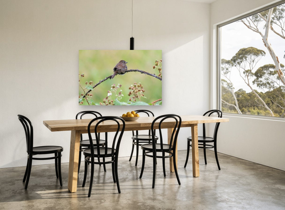 Sparrow on Bramble floral canvas print on the wall of a dining room