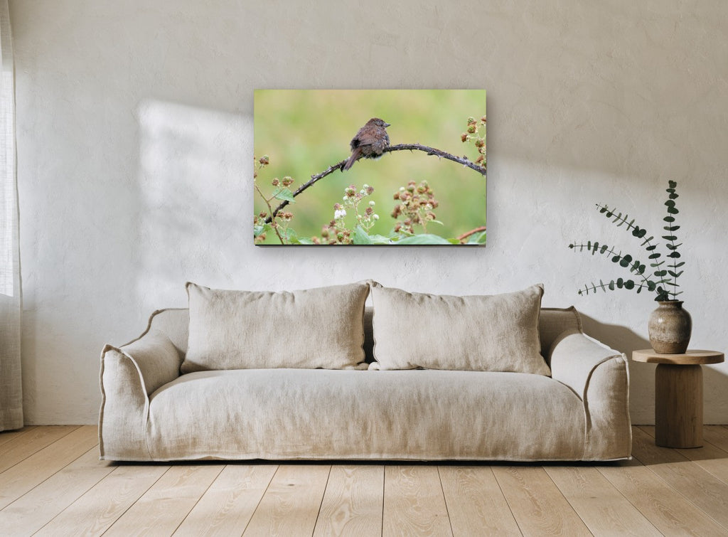 Sparrow on Bramble floral canvas print on the wall of a living room