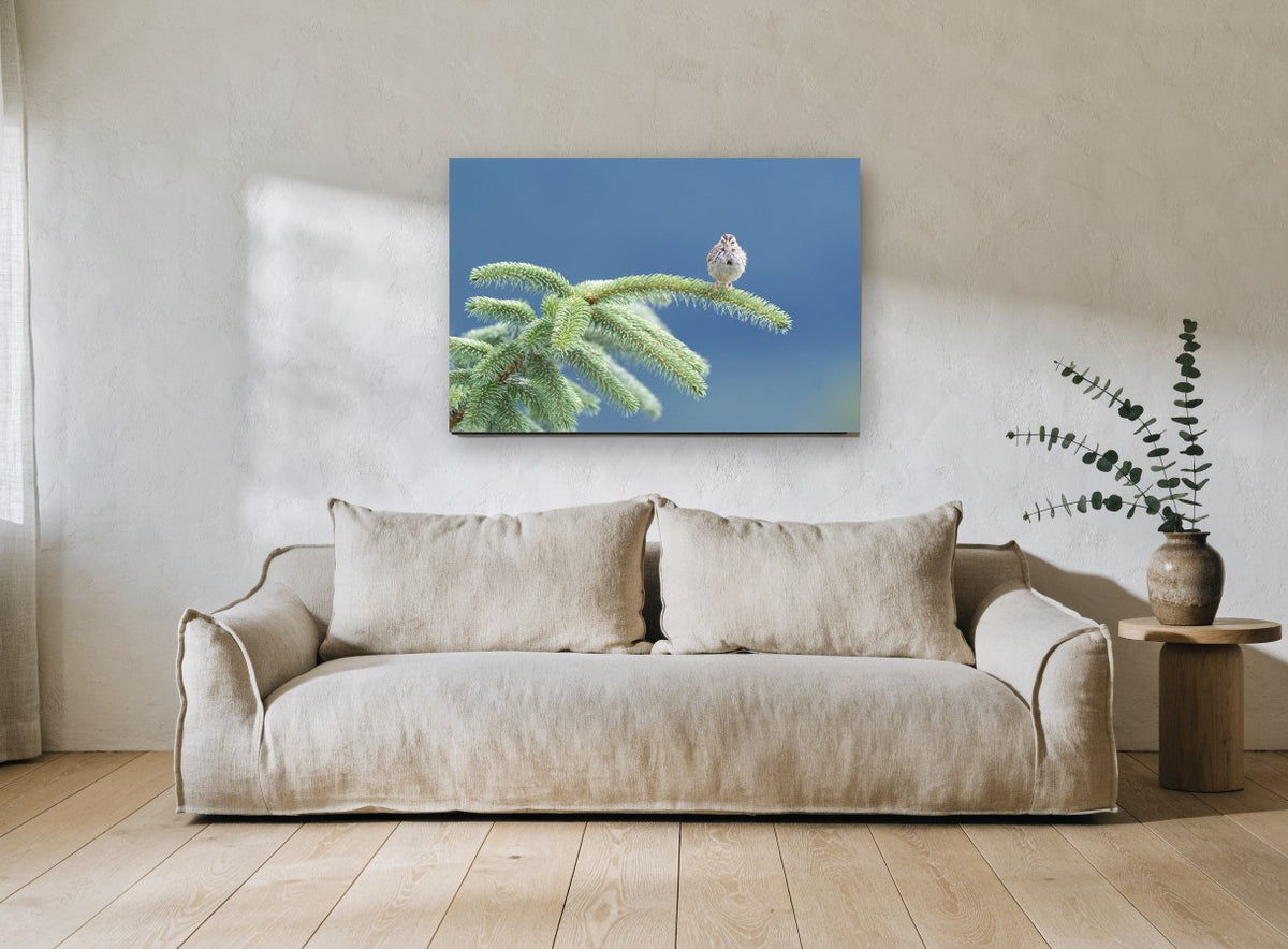 Sparrow on the Spruce floral canvas print on the wall of a living room