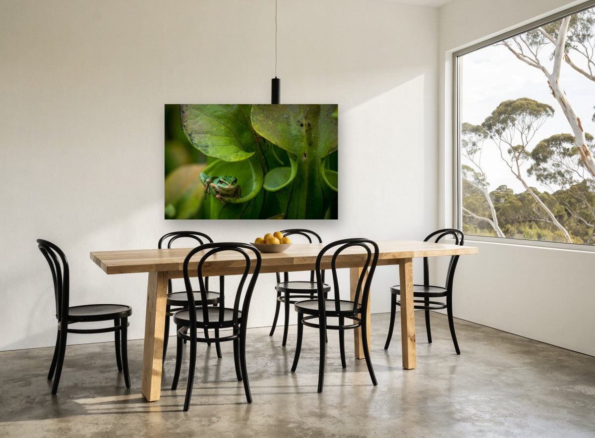 Frog in the Pitcher floral canvas print on the wall of a dining room