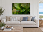 Frog in the Pitcher floral canvas print on the wall of a beach house living room