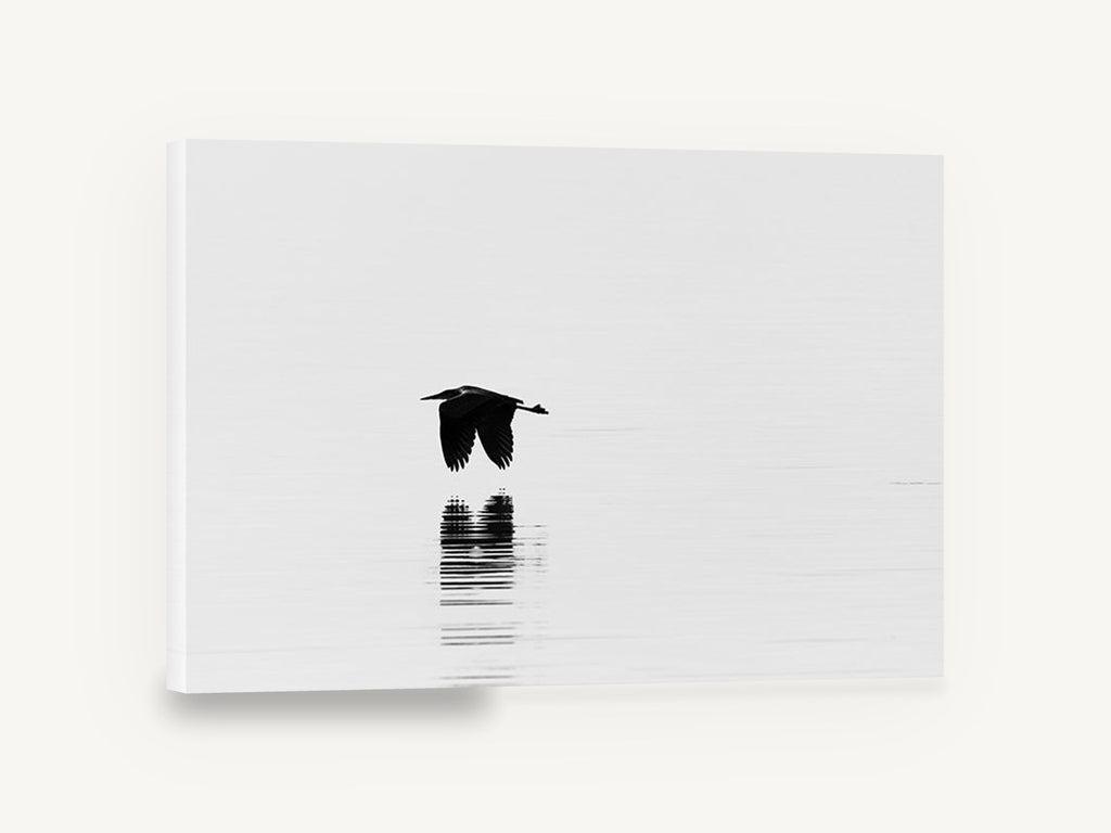 Heron Skimming Still Water, heron in flight black and white photograph, floral canvas wall art print ready to hang