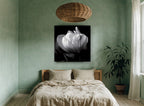 White Tulip in Shadow floral canvas print on the wall of a bedroom