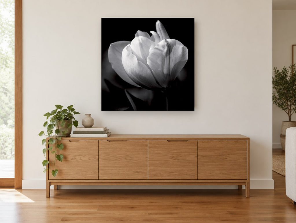 White Tulip in Shadow floral canvas print on the wall of a living room above a sideboard