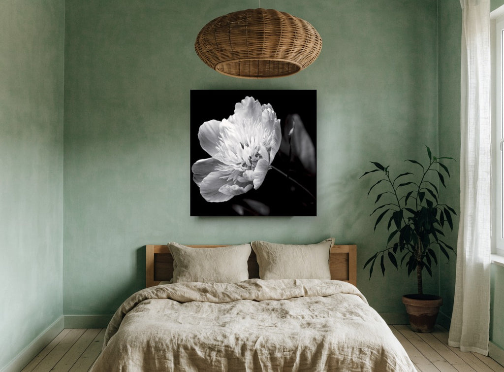 Midnight Peony Bloom floral canvas print on the wall of a bedroom
