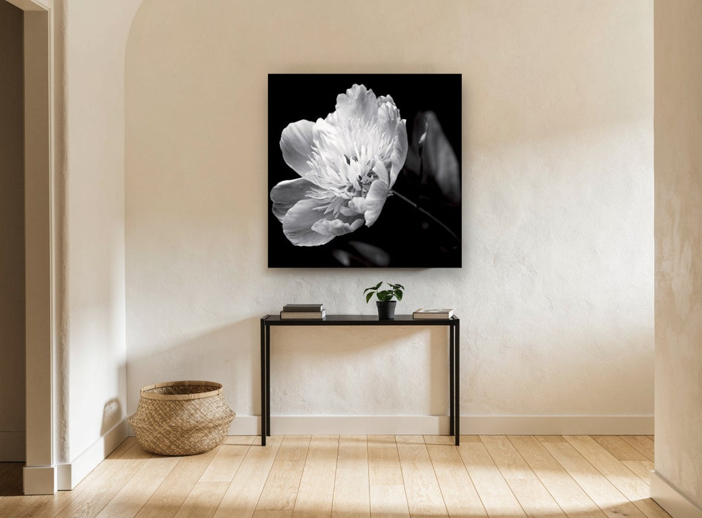 Midnight Peony Bloom floral canvas print on the wall of a hallway
