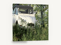 Cream Car in the Grass, vintage white car in forest photograph, floral canvas wall art print ready to hang