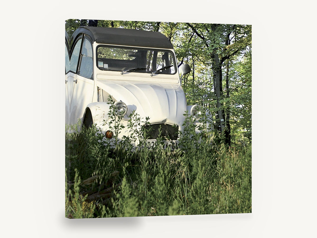 Cream Car in the Grass, vintage white car in forest photograph, floral canvas wall art print ready to hang