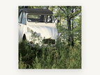 Cream Car in the Grass, floral canvas wall art print, front view
