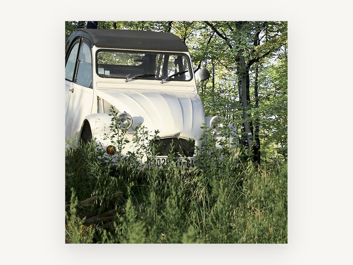 Cream Car in the Grass, floral canvas wall art print, front view