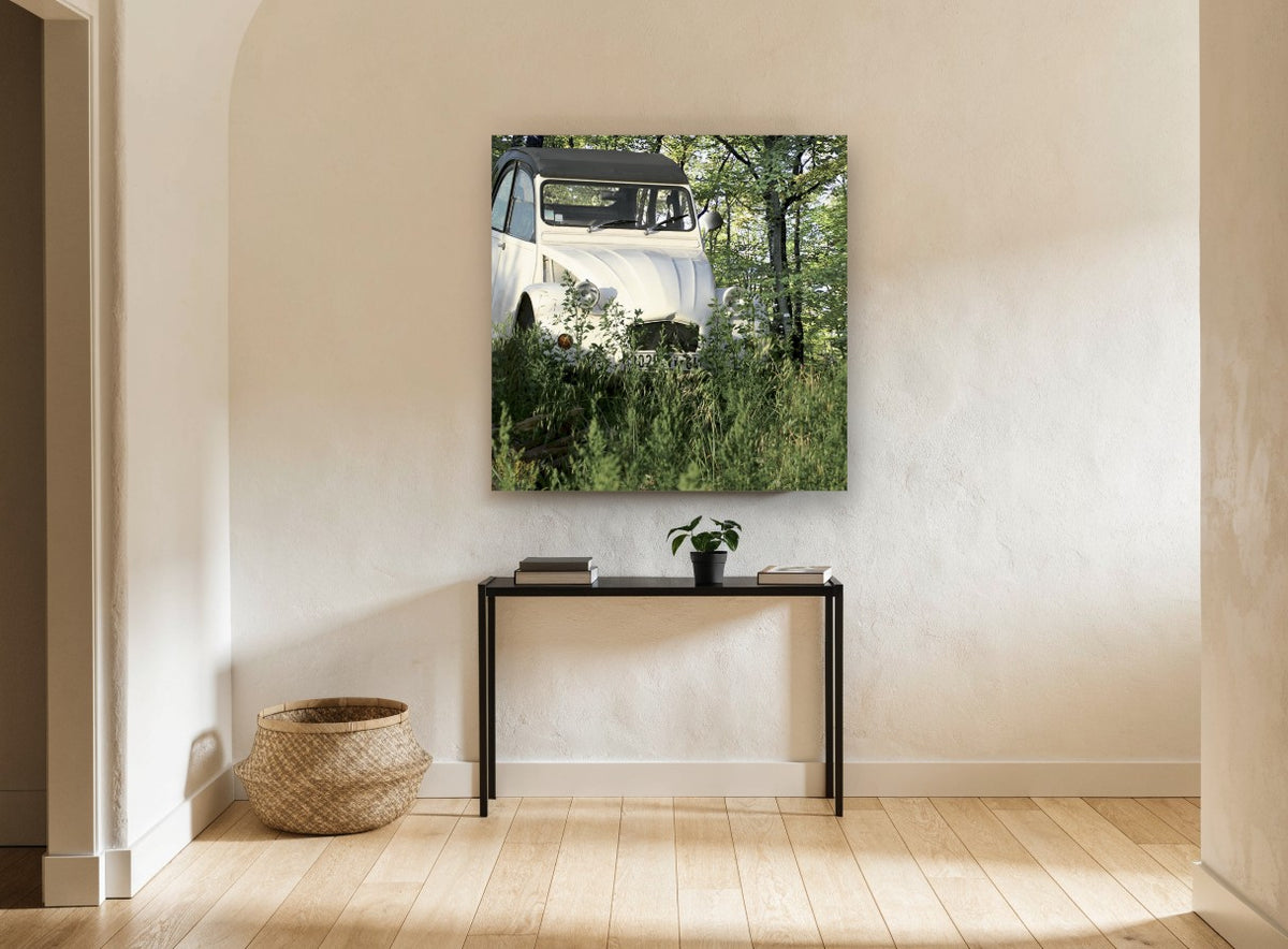 Cream Car in the Grass floral canvas print on the wall of a hallway