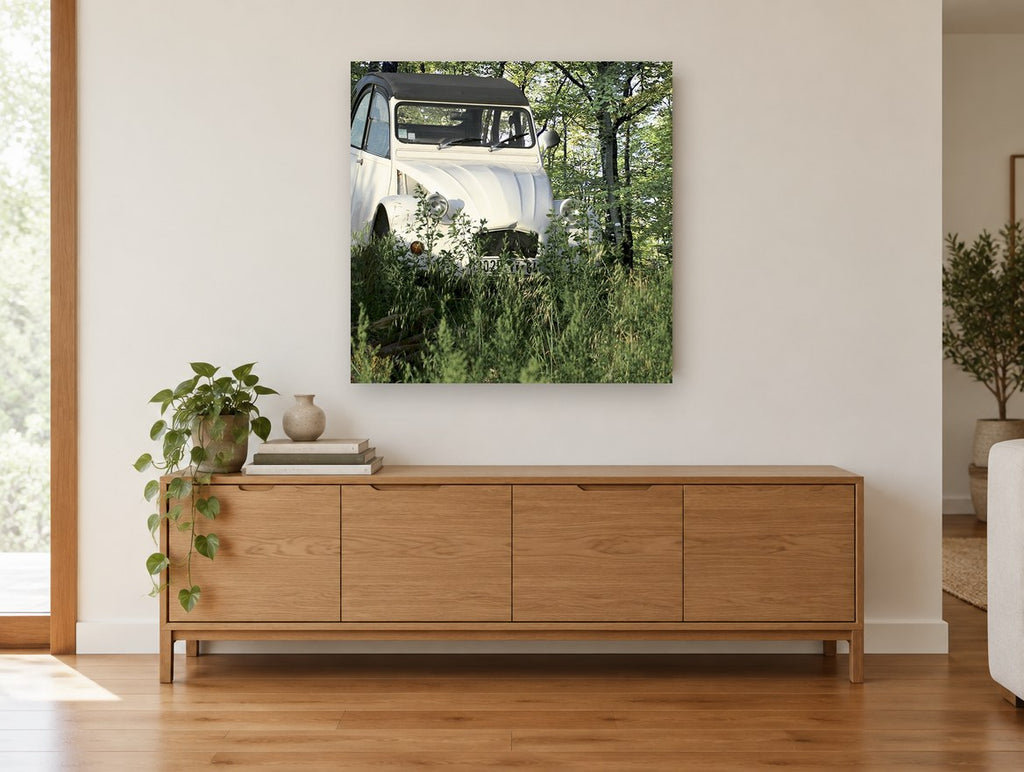 Cream Car in the Grass floral canvas print on the wall of a living room above a sideboard