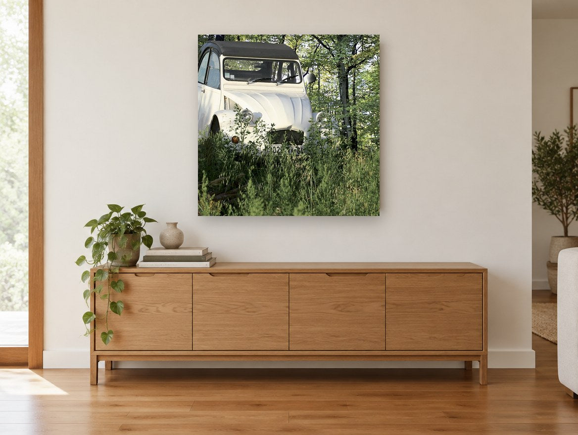 Cream Car in the Grass floral canvas print on the wall of a living room above a sideboard