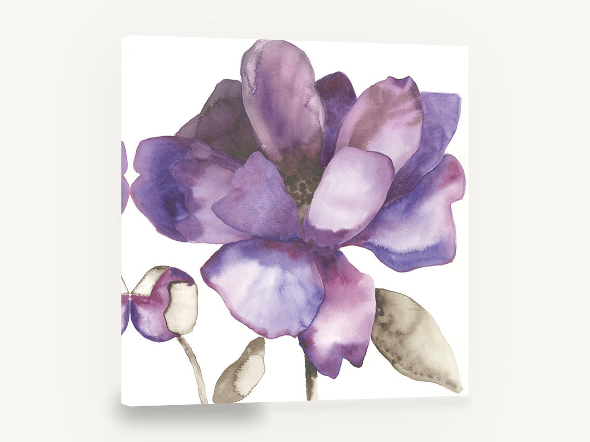 Violet Bloom Study, purple watercolour flower botanical, floral canvas wall art print ready to hang