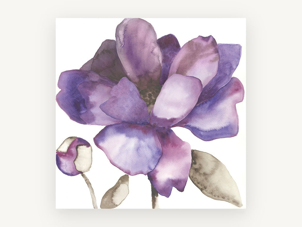 Violet Bloom Study, floral canvas wall art print, front view