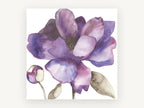 Violet Bloom Study, floral canvas wall art print, front view