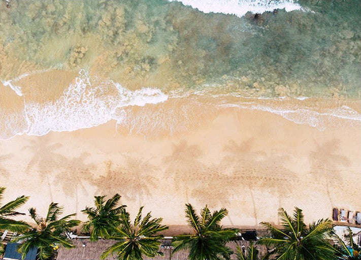 Caribbean Beach Wall Art Print