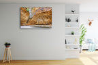 Cathedral Gorge Australia Wall Art Print on the wall