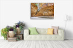 Cathedral Gorge Australia Wall Art Print on the wall