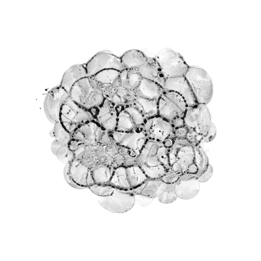 Cellular Cloud B Wall Art Print